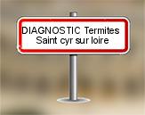 Diagnostic Termite AC Environnement  à Saint Cyr sur Loire